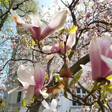 Stara Biblioteka Apart Otel Wroclaw