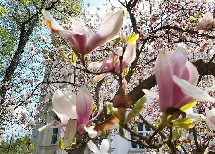 Stara Biblioteka アパートホテル ヴロツワフ
